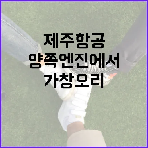 제주항공 사고 양쪽…