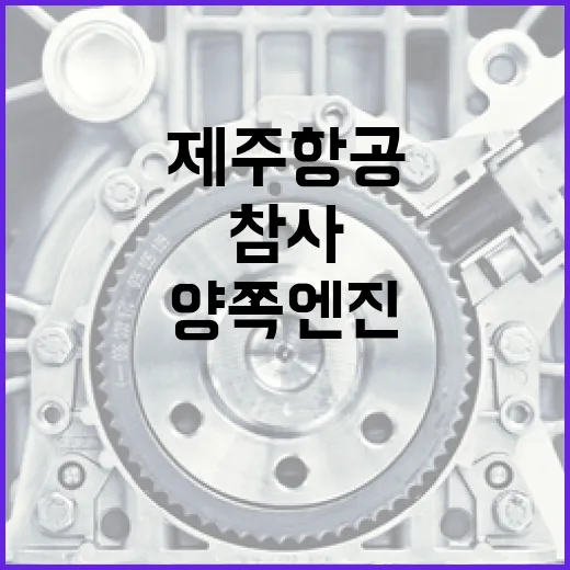 제주항공 참사 양쪽…