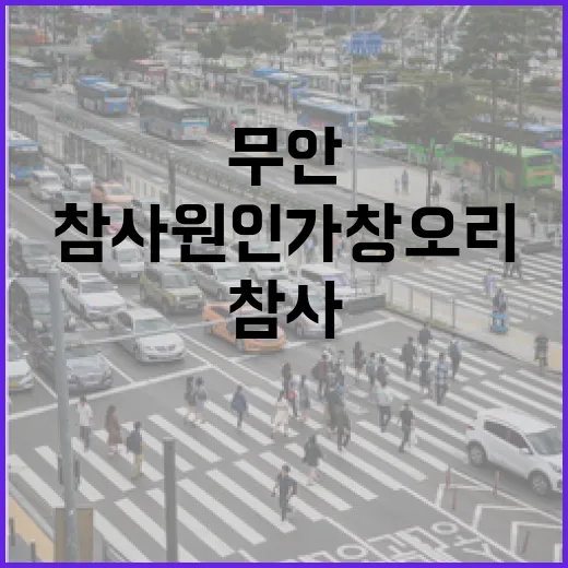 무안참사 원인 가창…