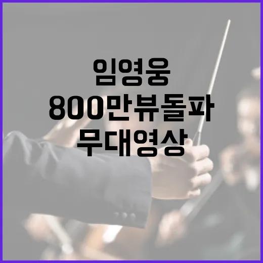 임영웅 듀엣 무대영상 놀라운 800만뷰 돌파!