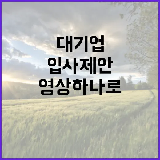 대기업 입사 제안 …