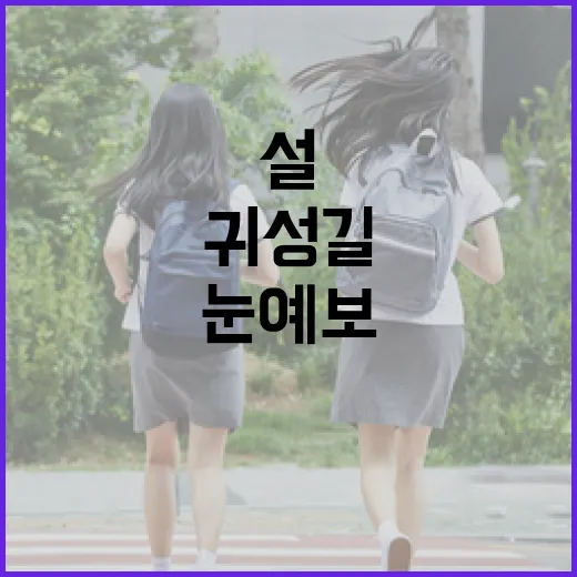 눈 예보! 설 귀성…