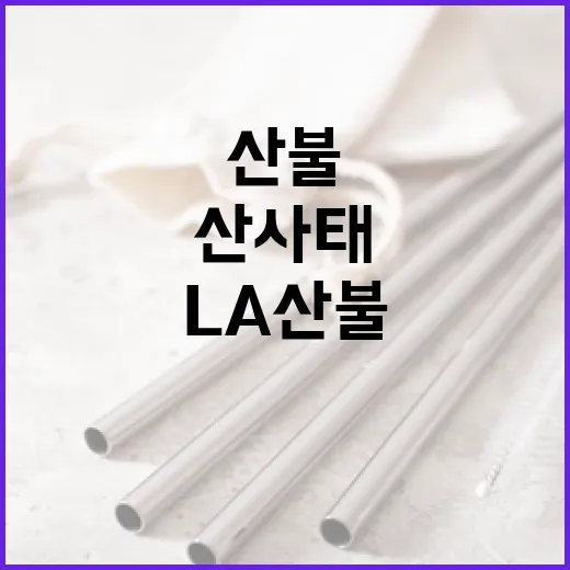 LA 산불 산사태와…