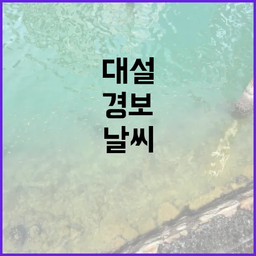 대설 경보 전국 최…