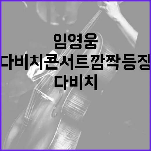 임영웅 다비치 콘서…