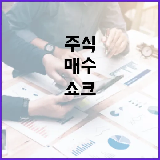 엔비디아 주식 중국…