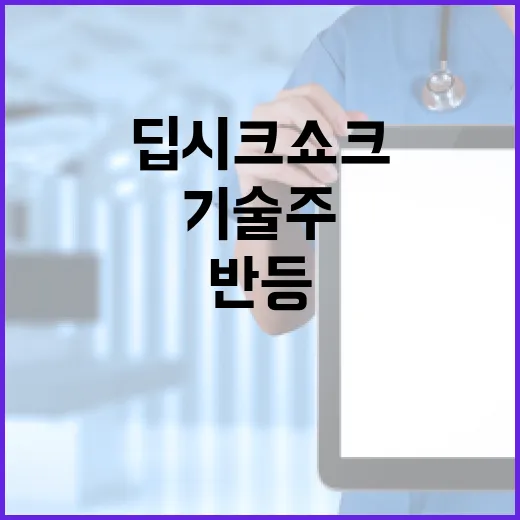 딥시크 쇼크 미국 …