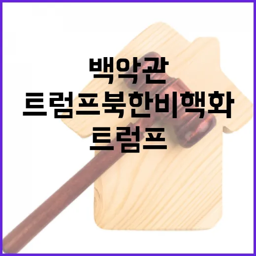 트럼프 북한 비핵화…