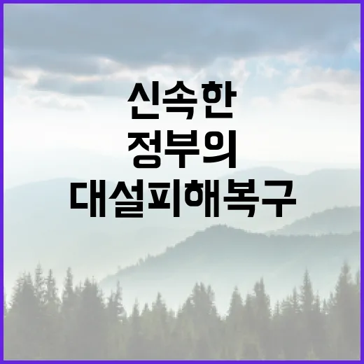 대설 피해 복구 정…