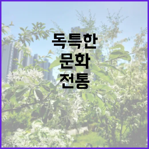 북한 설날 문화 독…