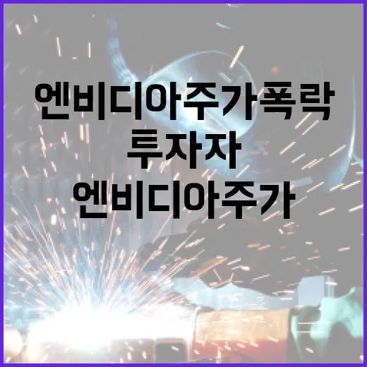 엔비디아 주가 폭락…