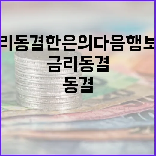 금리 동결 한은의 …