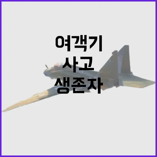 여객기 사고 한국인…