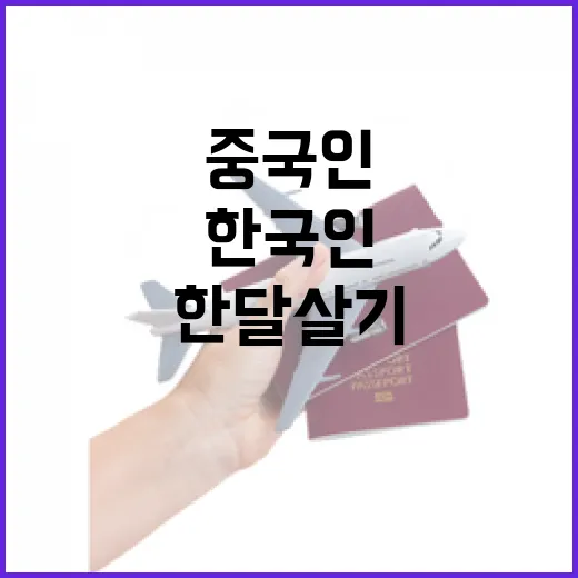 한국인 한달살기 성…