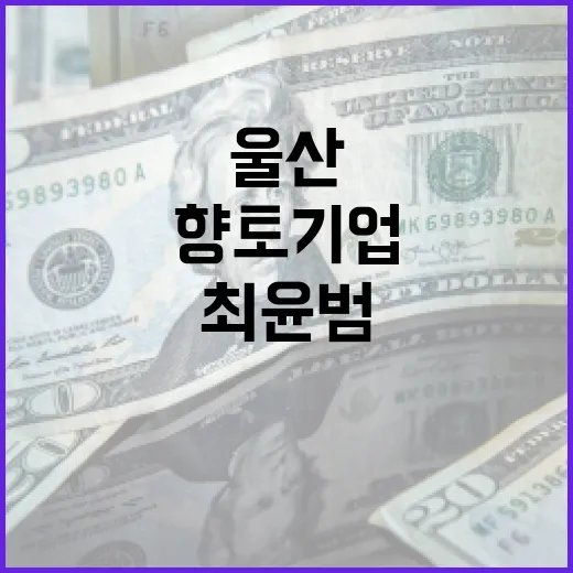 최윤범의 재도약 울…