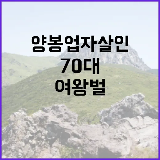 여왕벌 실종 70대…