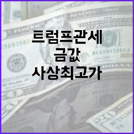 금값 상승 트럼프 …