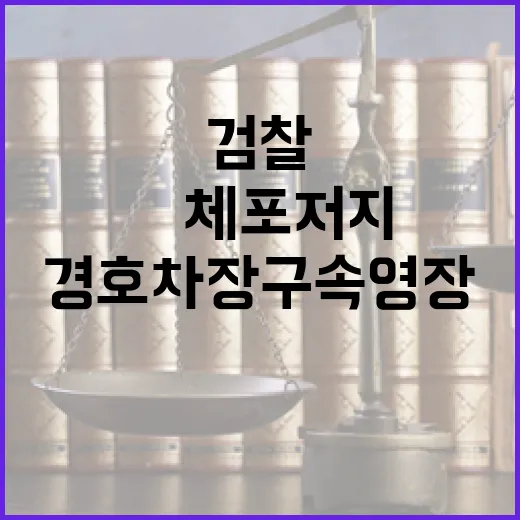 검찰 尹 체포 저지…