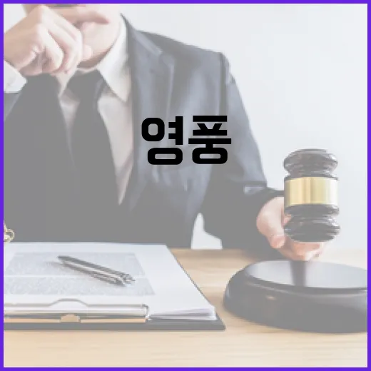 고려아연 공정위 신…