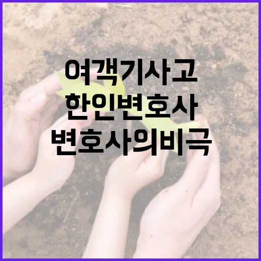 여객기 사고 신혼여…