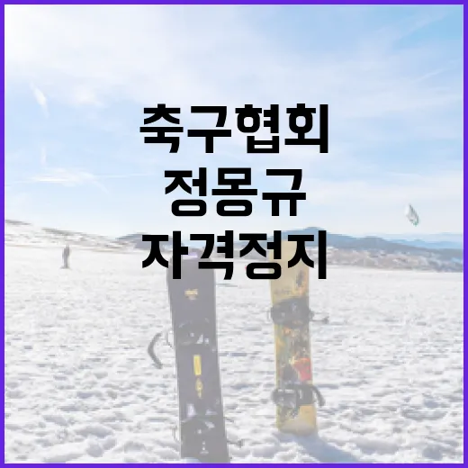 정몽규 자격정지 논…