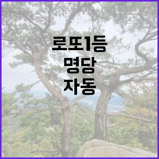 로또 1등 명당들 …