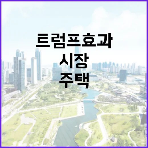 트럼프 효과 부자들…