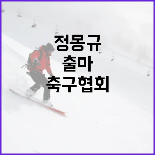 정몽규 출마 위한 …