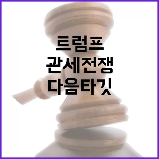 트럼프 관세 전쟁 …