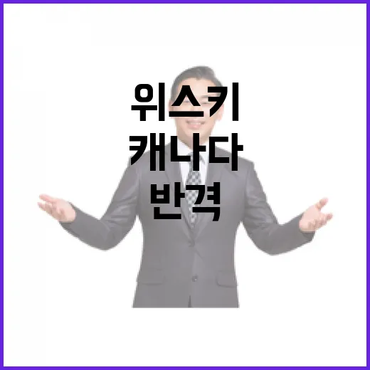 캐나다 미국 위스키…