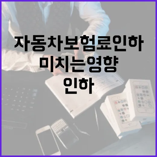 자동차보험료 인하 …