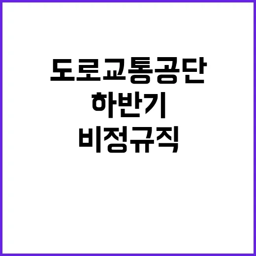 한국도로교통공단 비…