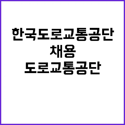 한국도로교통공단 비…