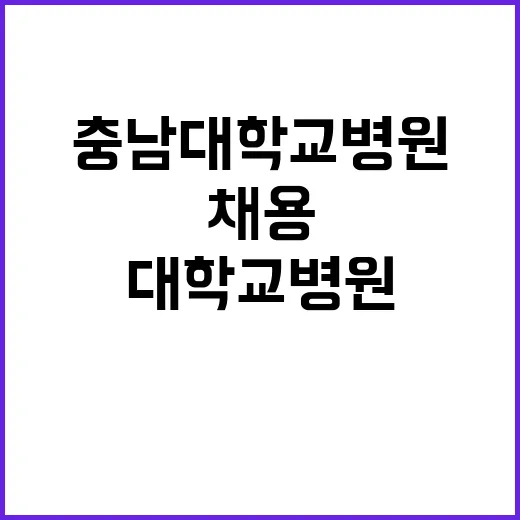 [대전본원] 충남대학교병원 2024년 9월 비정규직 직원 채용공고【채용분야 : 공고참고】