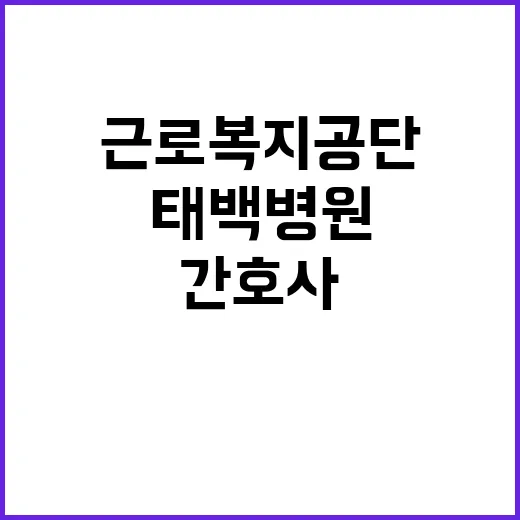 [태백병원] 의료직6급(간호사) 채용 공고