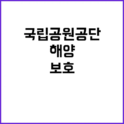 국립공원공단 비정규…