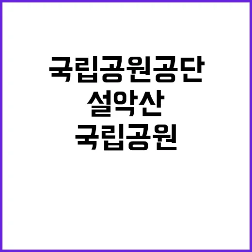 국립공원공단 비정규…