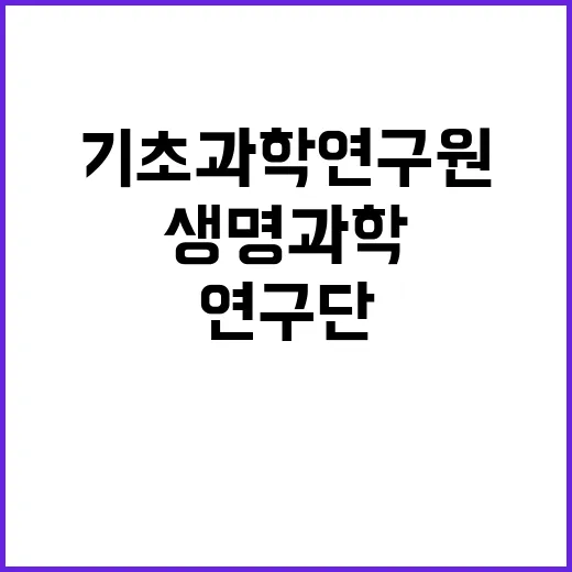 기초과학연구원 비정…