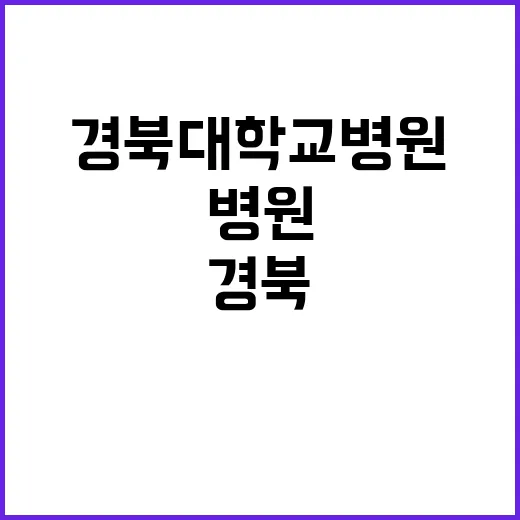 칠곡경북대학교병원 2024년 9월 1차 임시직원 모집공고(약사 업무보조 운영지원(청소) 행정 시설기술(설비))