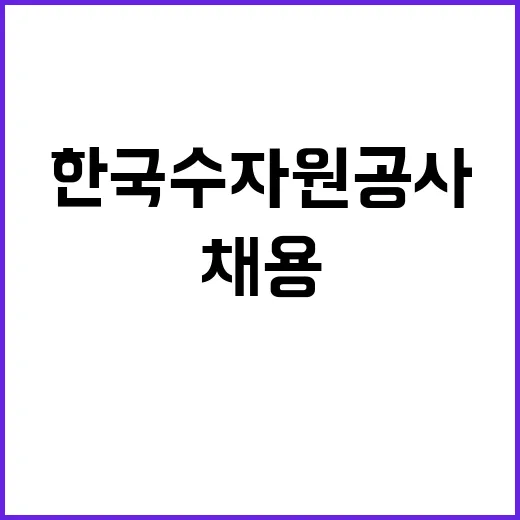 한국수자원공사 비정…