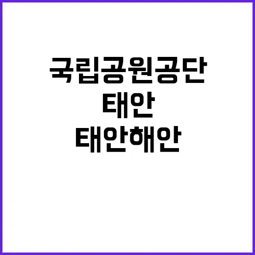 [태안] 2024년 태안해안 기간제(대체인력_탐방해설) 채용 재공고