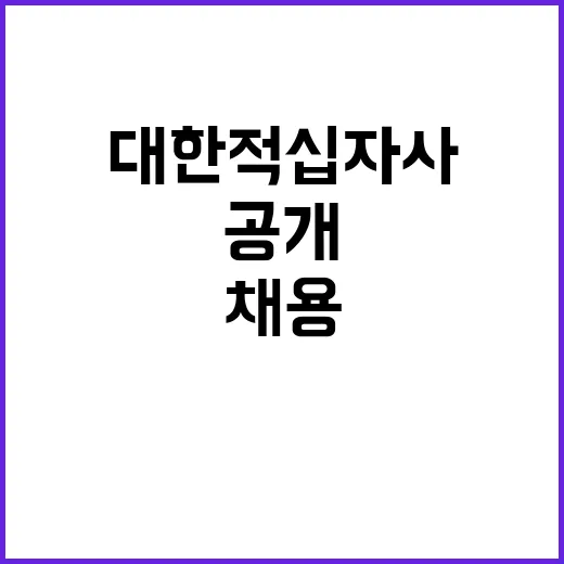 대한적십자사 비정규…