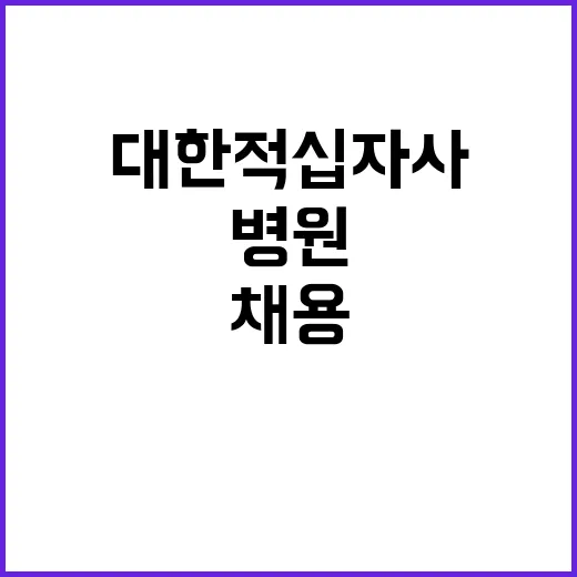 대한적십자사 비정규…