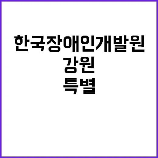 [제2024-95호] 2024년 제5차 강원특별자치도발달장애인지원센터 기간제 계약직 채용 공고