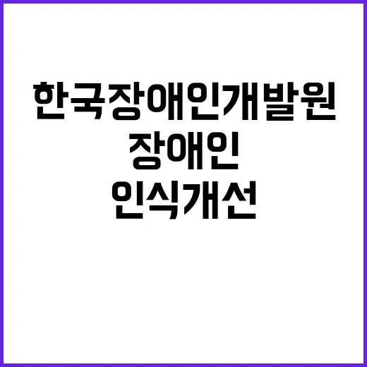 한국장애인개발원 비…