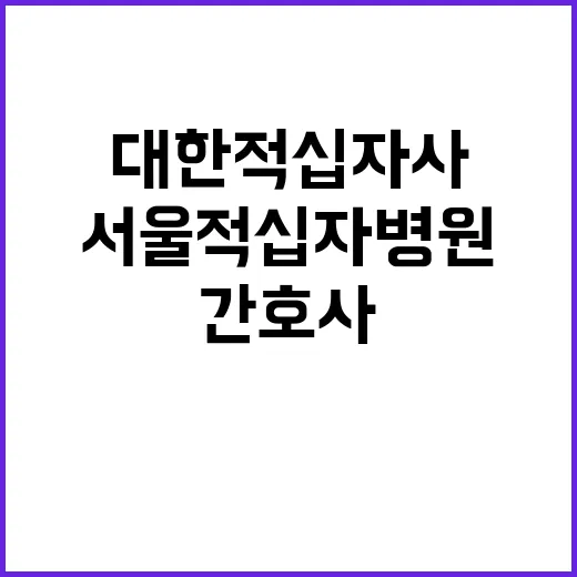 서울적십자병원 휴직대체 보건관리자(간호사) 신규채용(2024.10.01.)