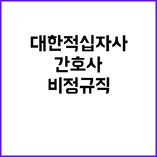 대한적십자사 비정규…