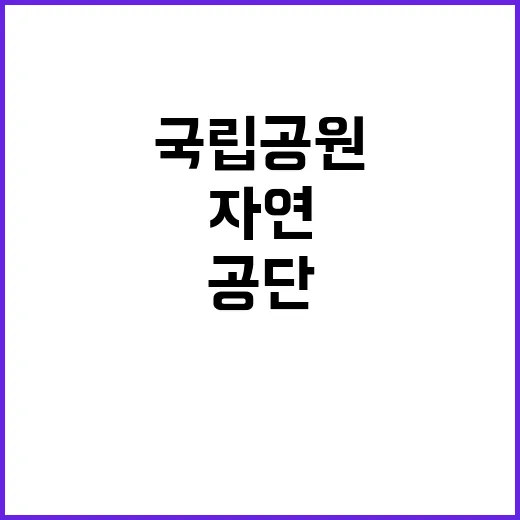 국립공원공단 비정규…