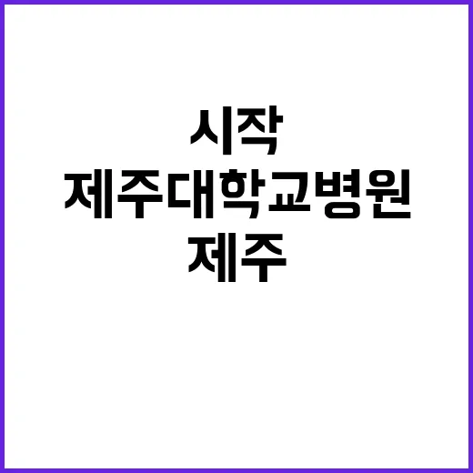 제주대학교병원 비정…