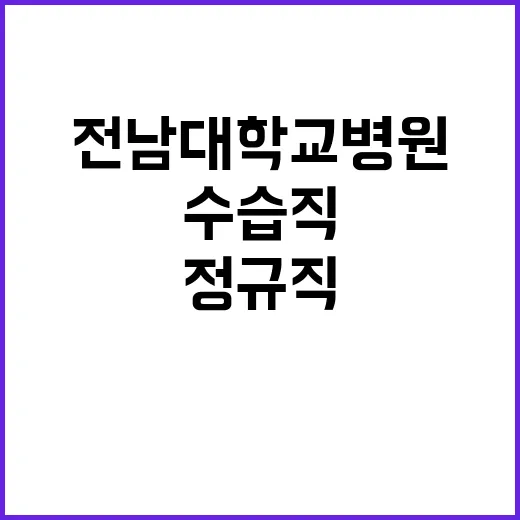 전남대학교병원 정규…